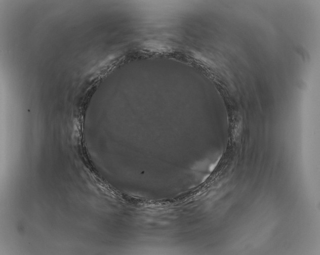 X0000111371397200908071204