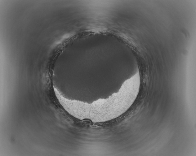 X0000111371398200908071204