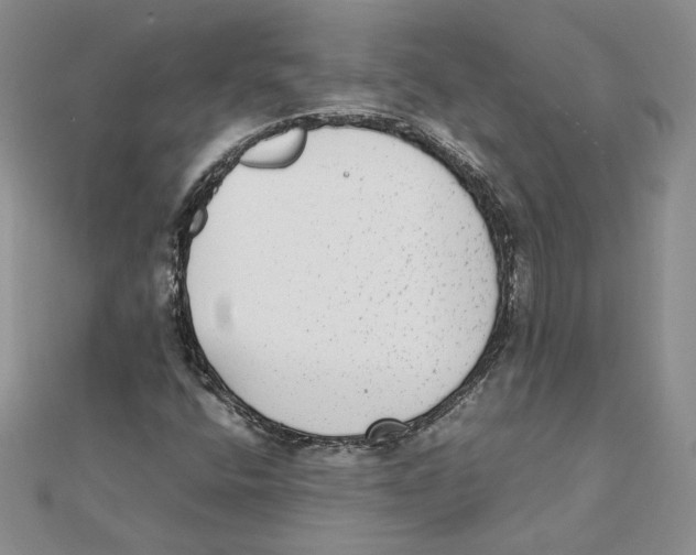 X0000111371400200908071204