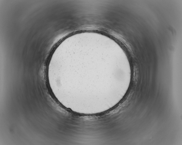 X0000111371404200908071204