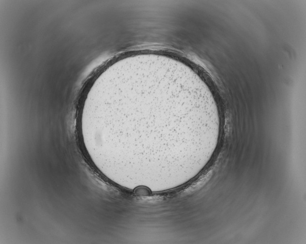 X0000111371406200908071204