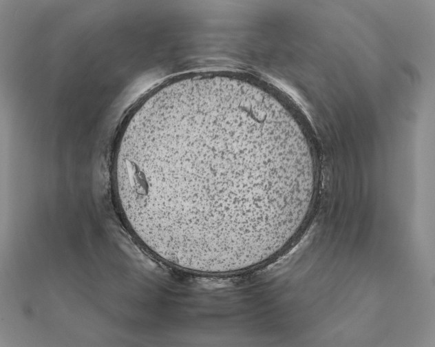 X0000111371407200908071204