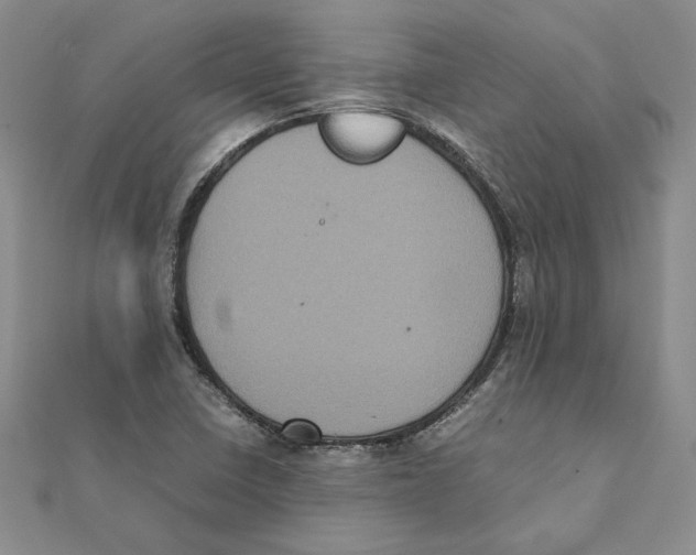 X0000111371410200908071204