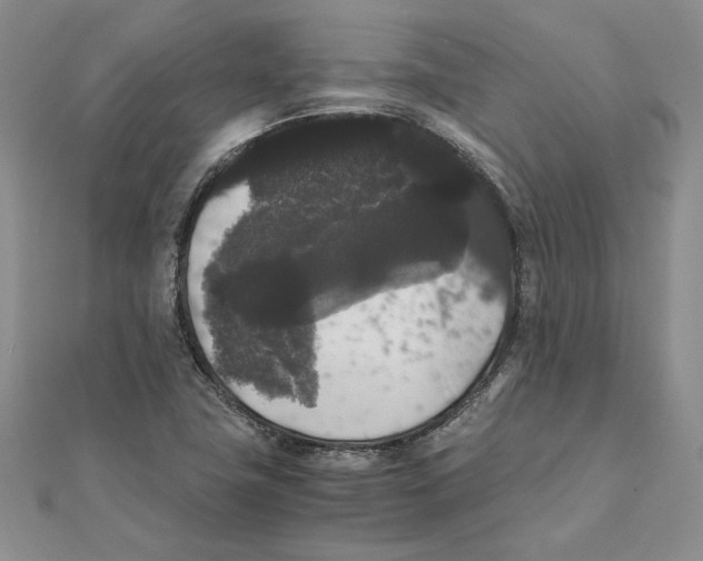 X0000111371411200908071204