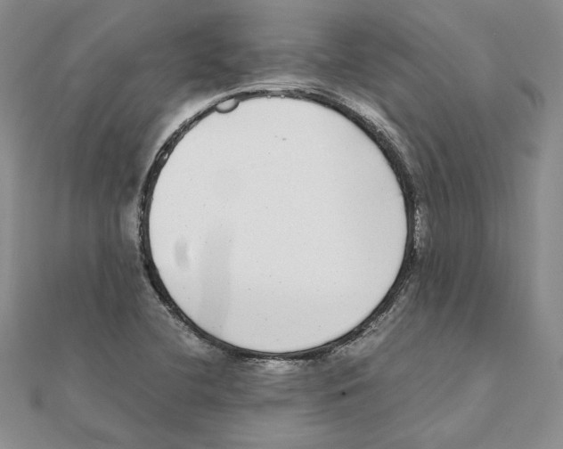X0000111371412200908071204