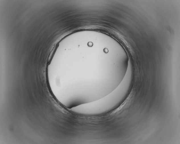 X0000111371417200908071204