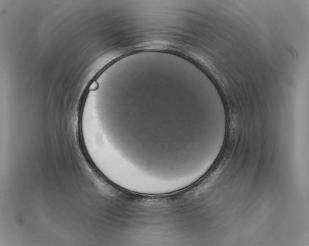 X0000111371418200908071204