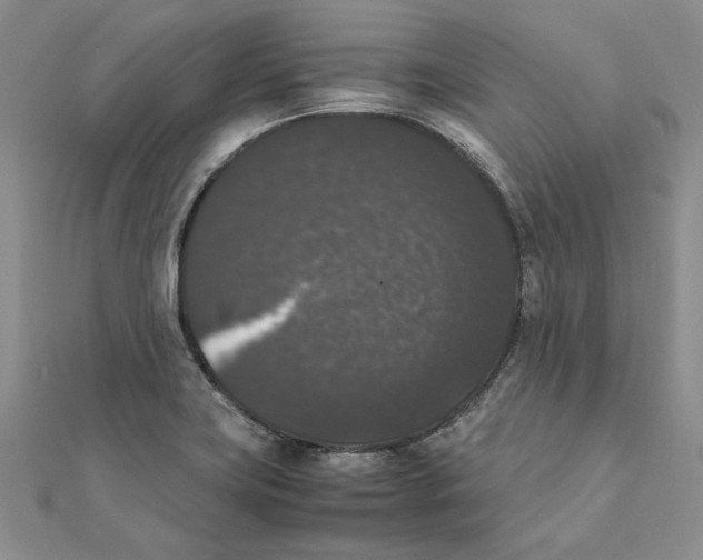 X0000111371419200908071204