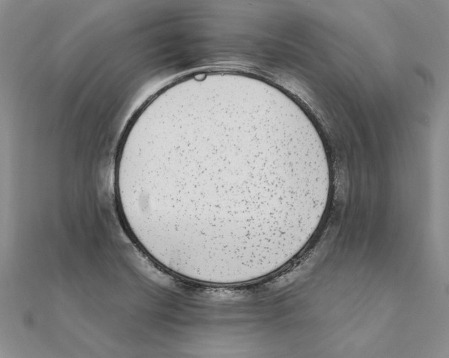 X0000111371420200908071204
