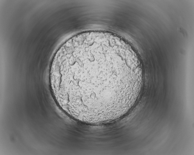 X0000111371421200908071204