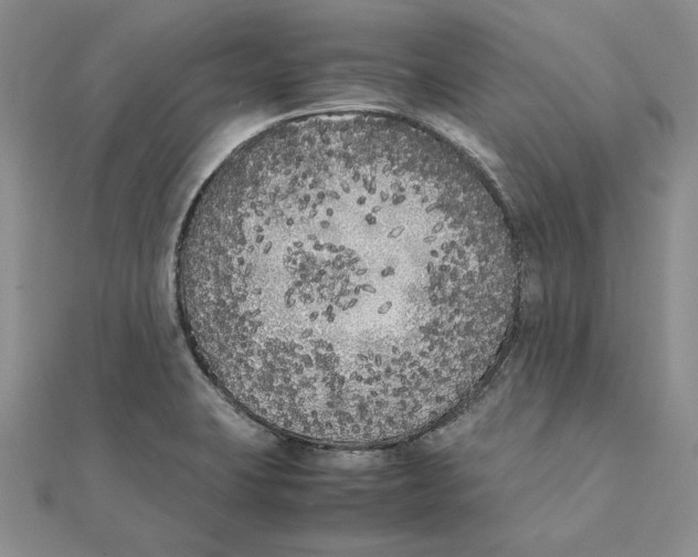 X0000111371423200908071204