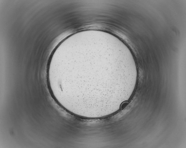 X0000111371426200908071204