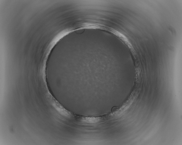 X0000111371427200908071204