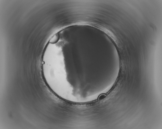 X0000111371428200908071204