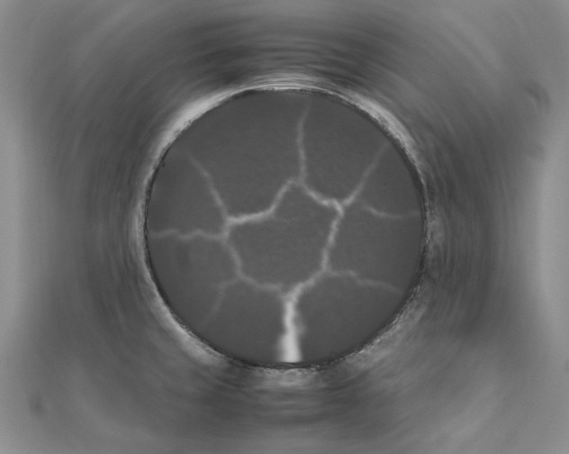 X0000111371429200908071204