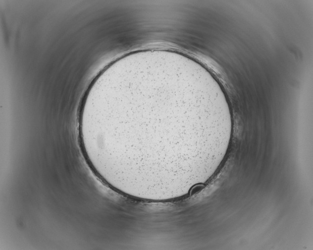 X0000111371430200908071204