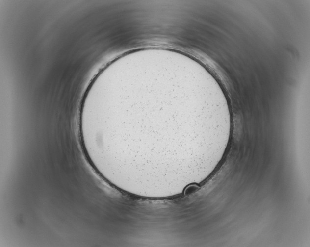 X0000111371432200908071205