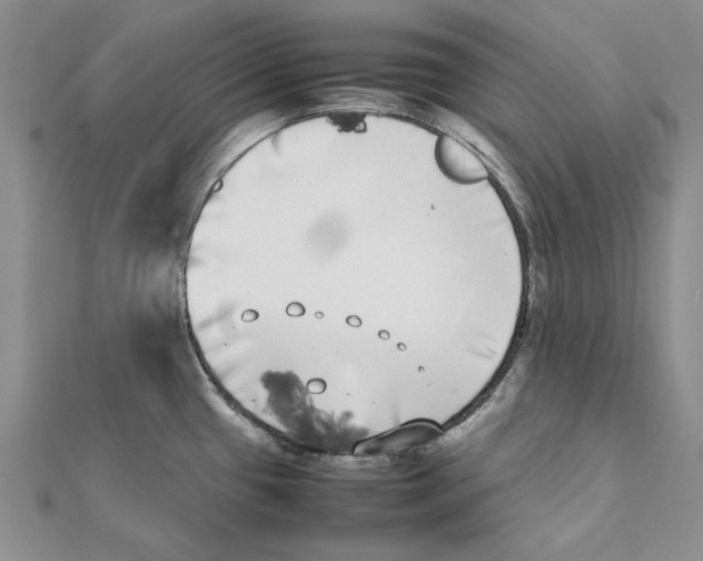 X0000111371433200908071205