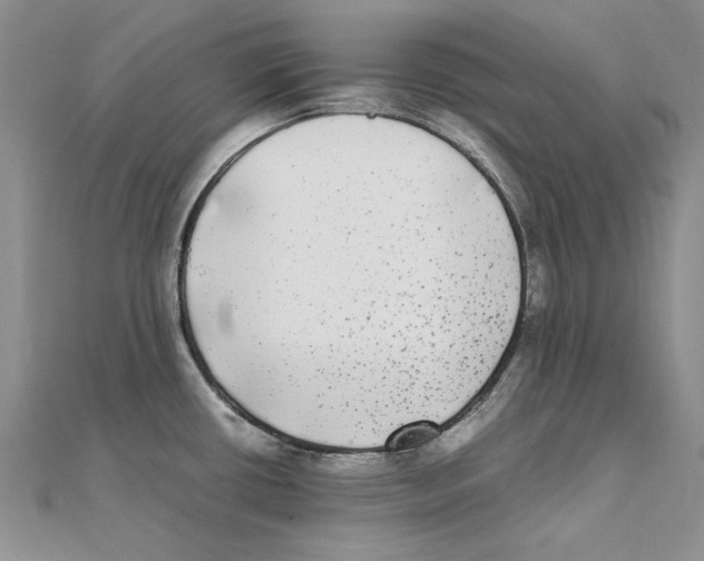 X0000111371434200908071205