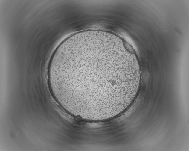 X0000111371435200908071205