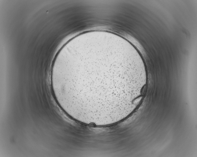 X0000111371436200908071205