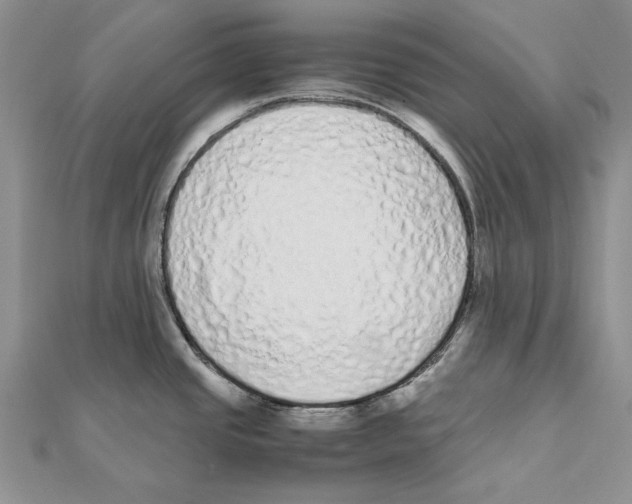 X0000111371437200908071205