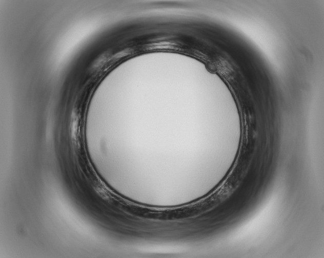 X0000111371438200908071205