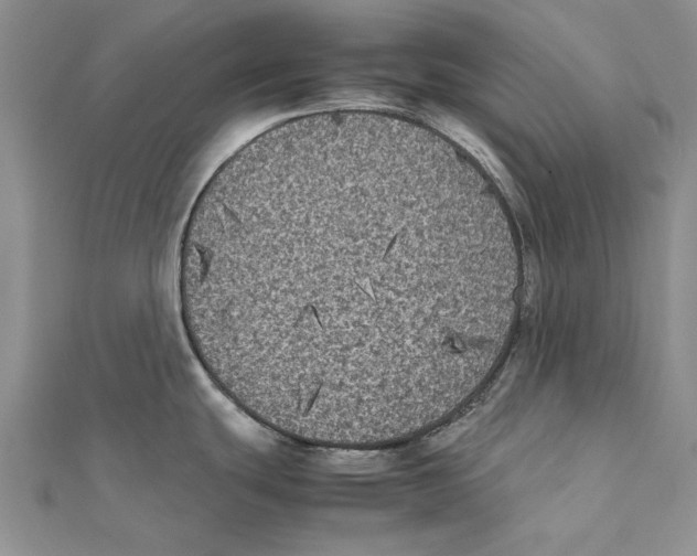 X0000111371439200908071205
