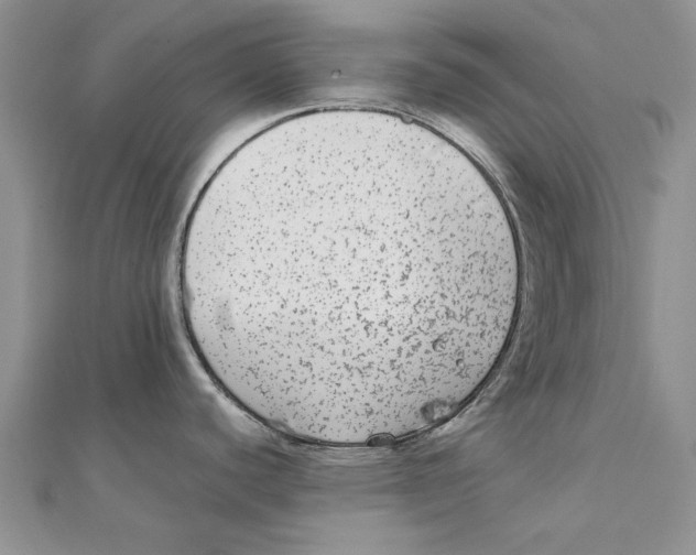 X0000111371440200908071205