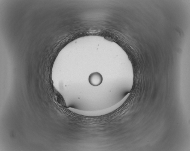X0000111371441200908071204