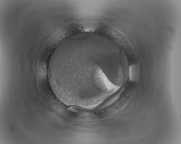 X0000111371443200908071204