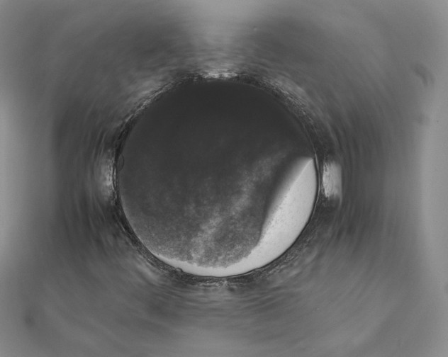 X0000111371444200908071204