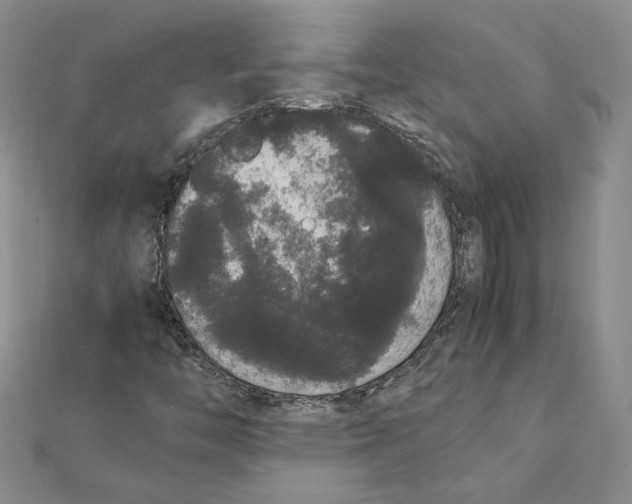 X0000111371446200908071204