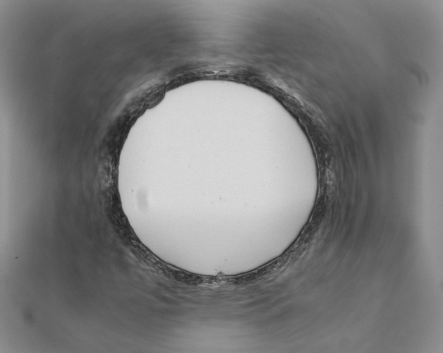 X0000111371447200908071204