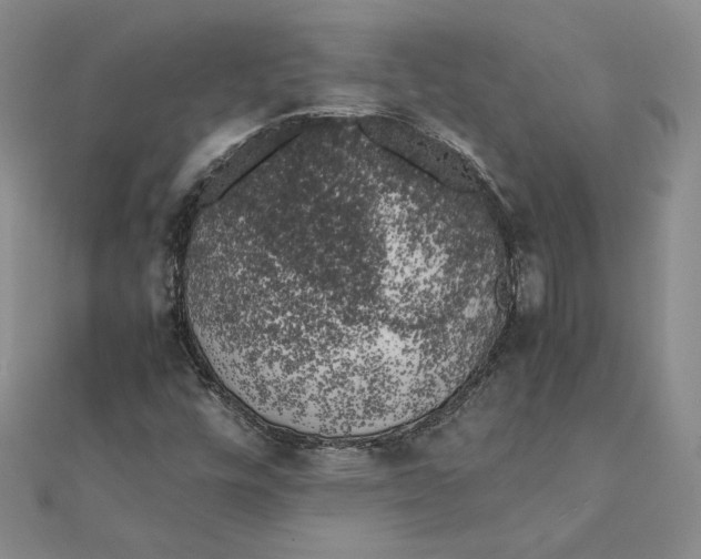 X0000111371448200908071204