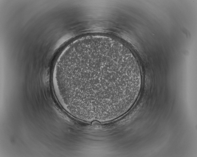 X0000111371450200908071204