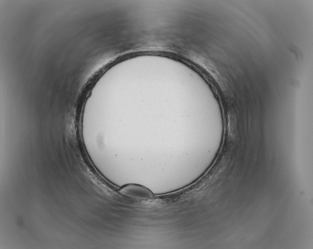 X0000111371452200908071204