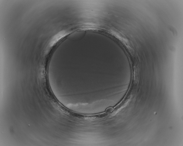 X0000111371453200908071204