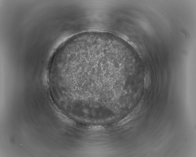 X0000111371454200908071204