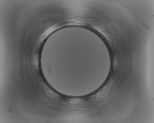 X0000111371455200908071204