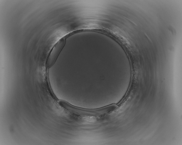 X0000111371457200908071204