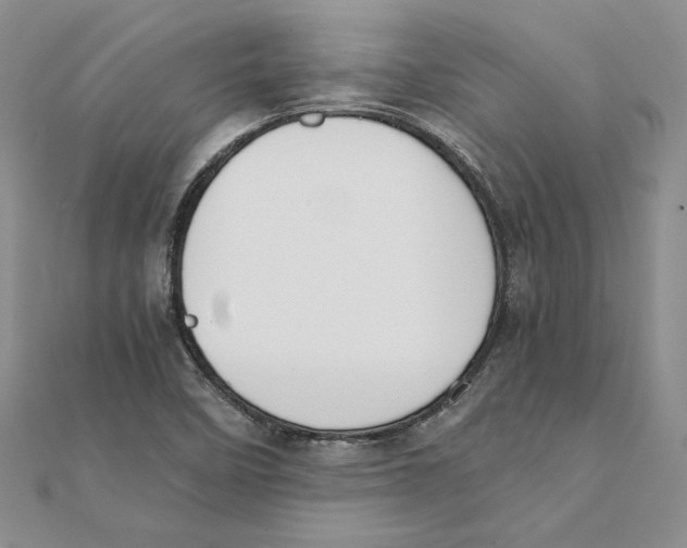 X0000111371458200908071204