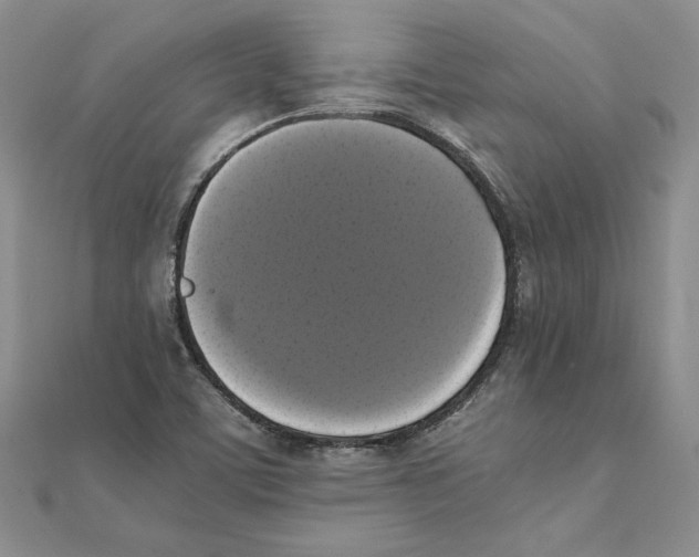 X0000111371459200908071204