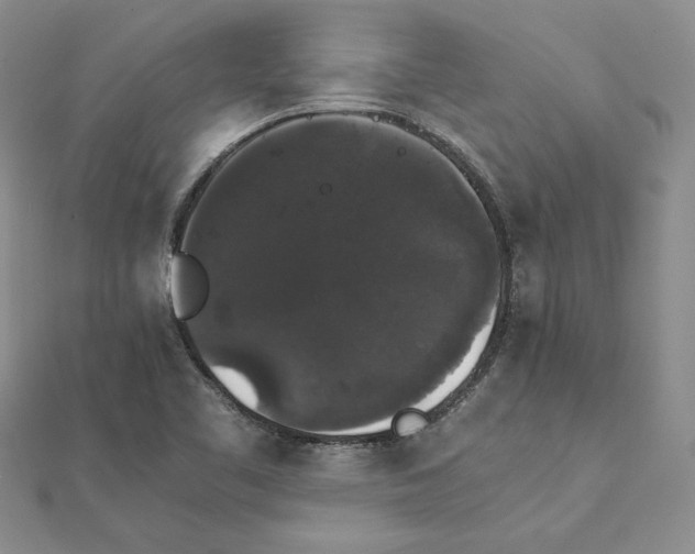 X0000111371461200908071204