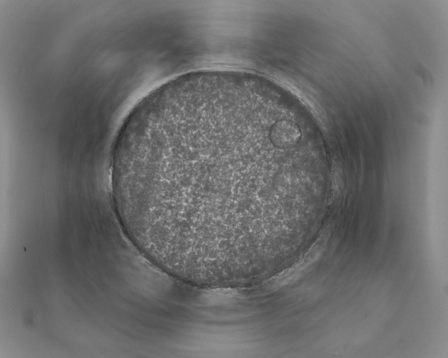 X0000111371462200908071204