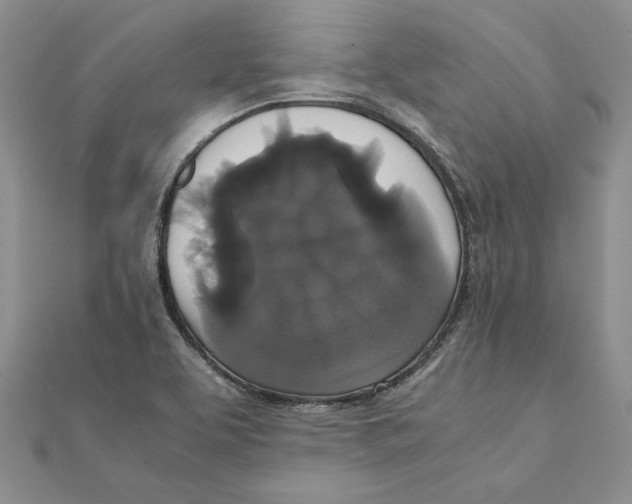 X0000111371463200908071204