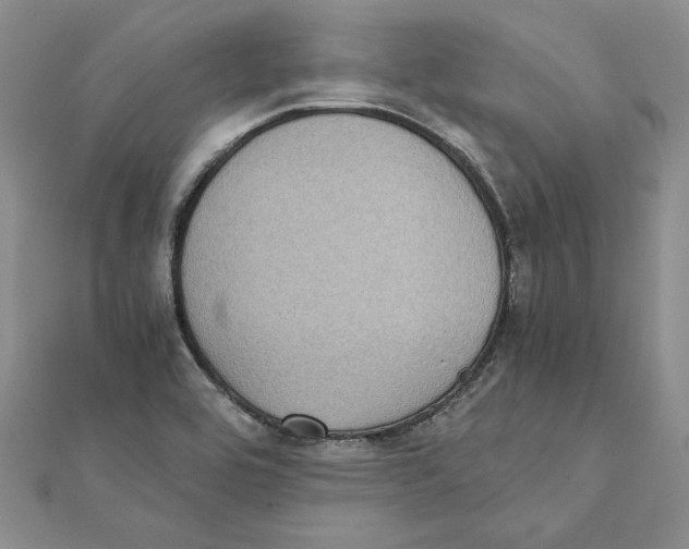 X0000111371464200908071204