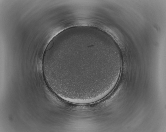X0000111371465200908071204