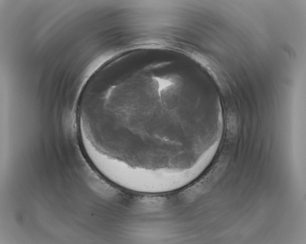 X0000111371466200908071204