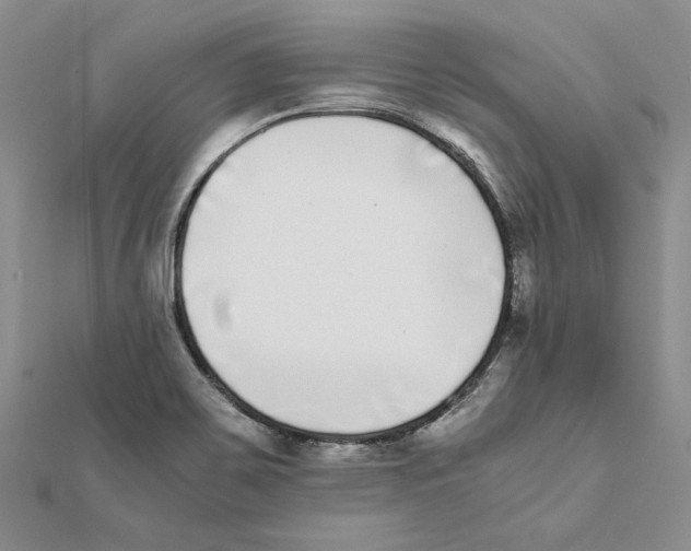 X0000111371467200908071204
